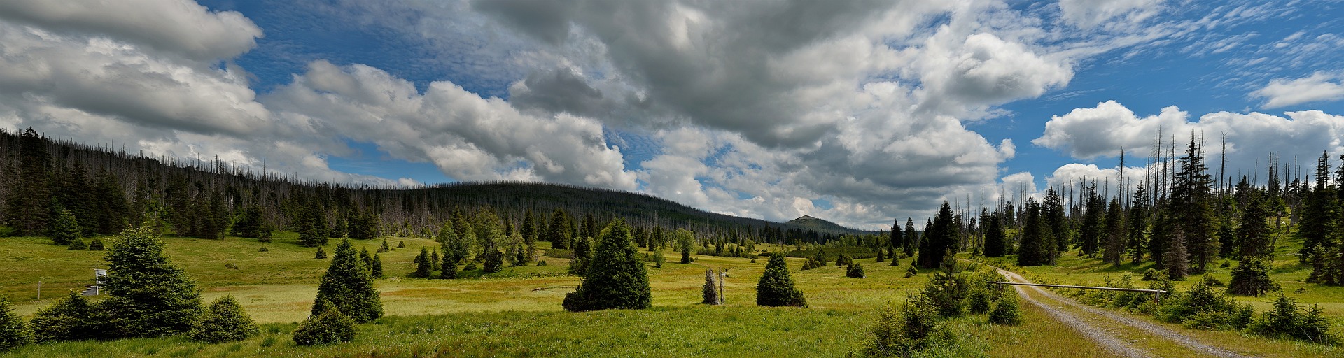 Šumava